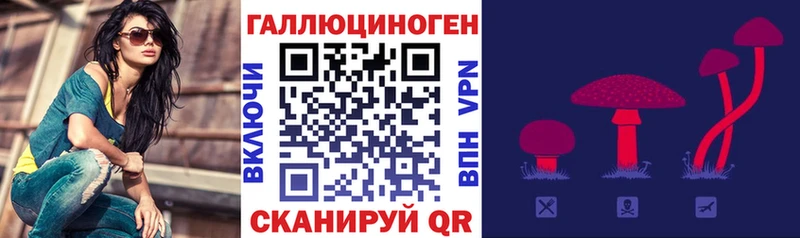 Псилоцибиновые грибы GOLDEN TEACHER  наркотики  Руза 